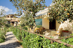 Imagen La Fattoria Azienda Agrituristica