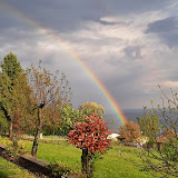 Imagen Aurora pizzeria serle