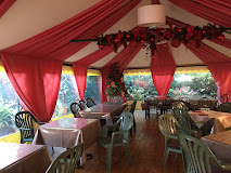 Imagen Giannessi Paolo