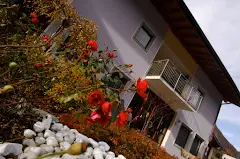 Imagen Hotel Da Rita Restaurant