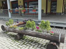 Imagen Chamois d'or Montoso