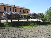 Imagen Verde Venezia