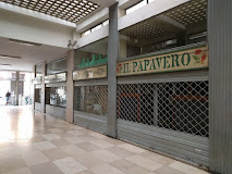 Imagen Il Papavero